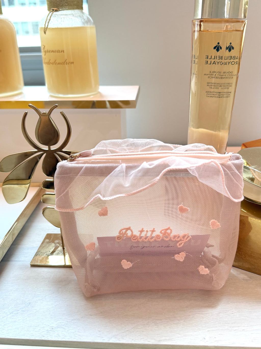 Mesh Vanity Pouch in Soft Organza Finish