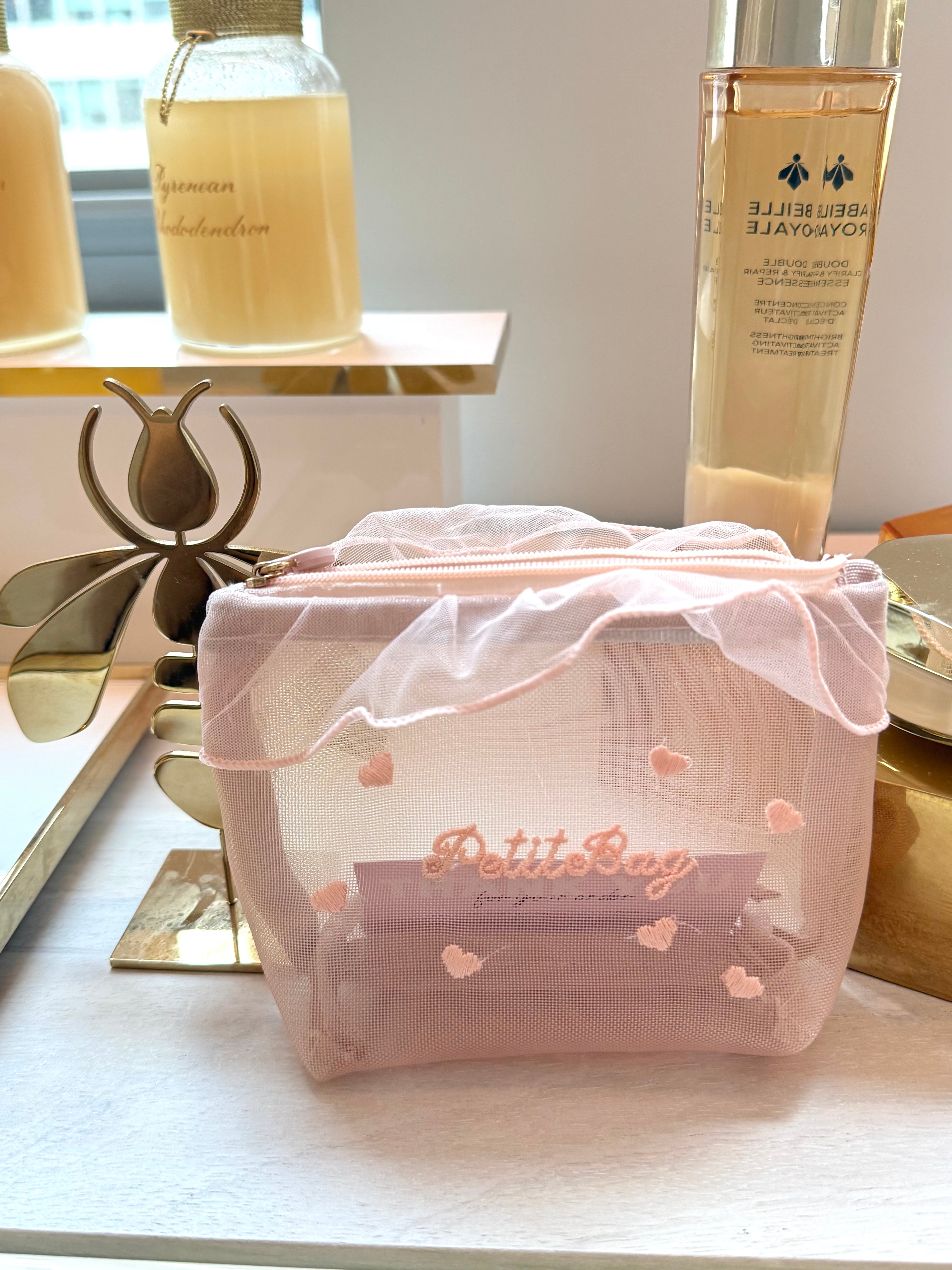 Mesh Vanity Pouch in Soft Organza Finish