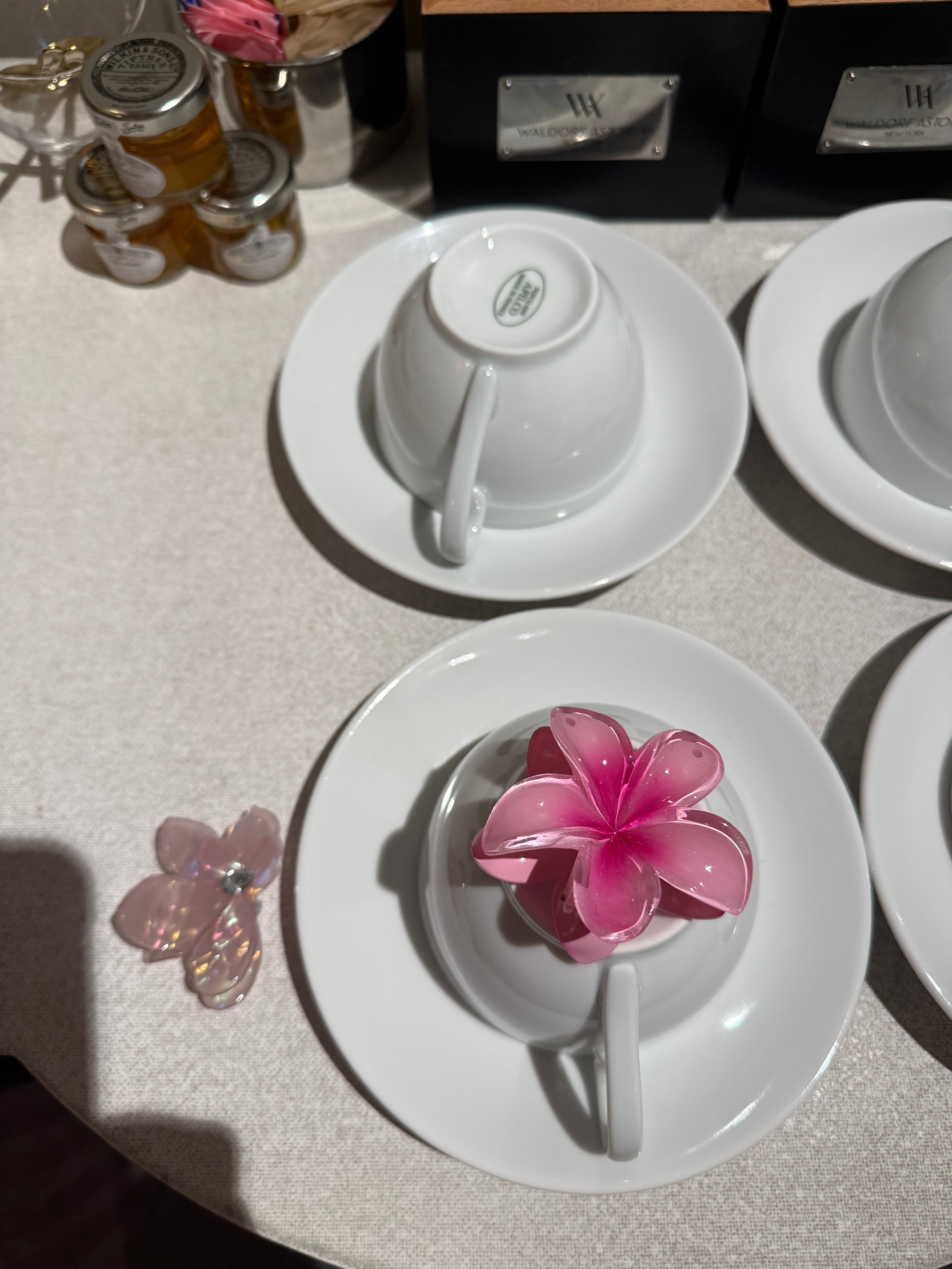 Frangipani