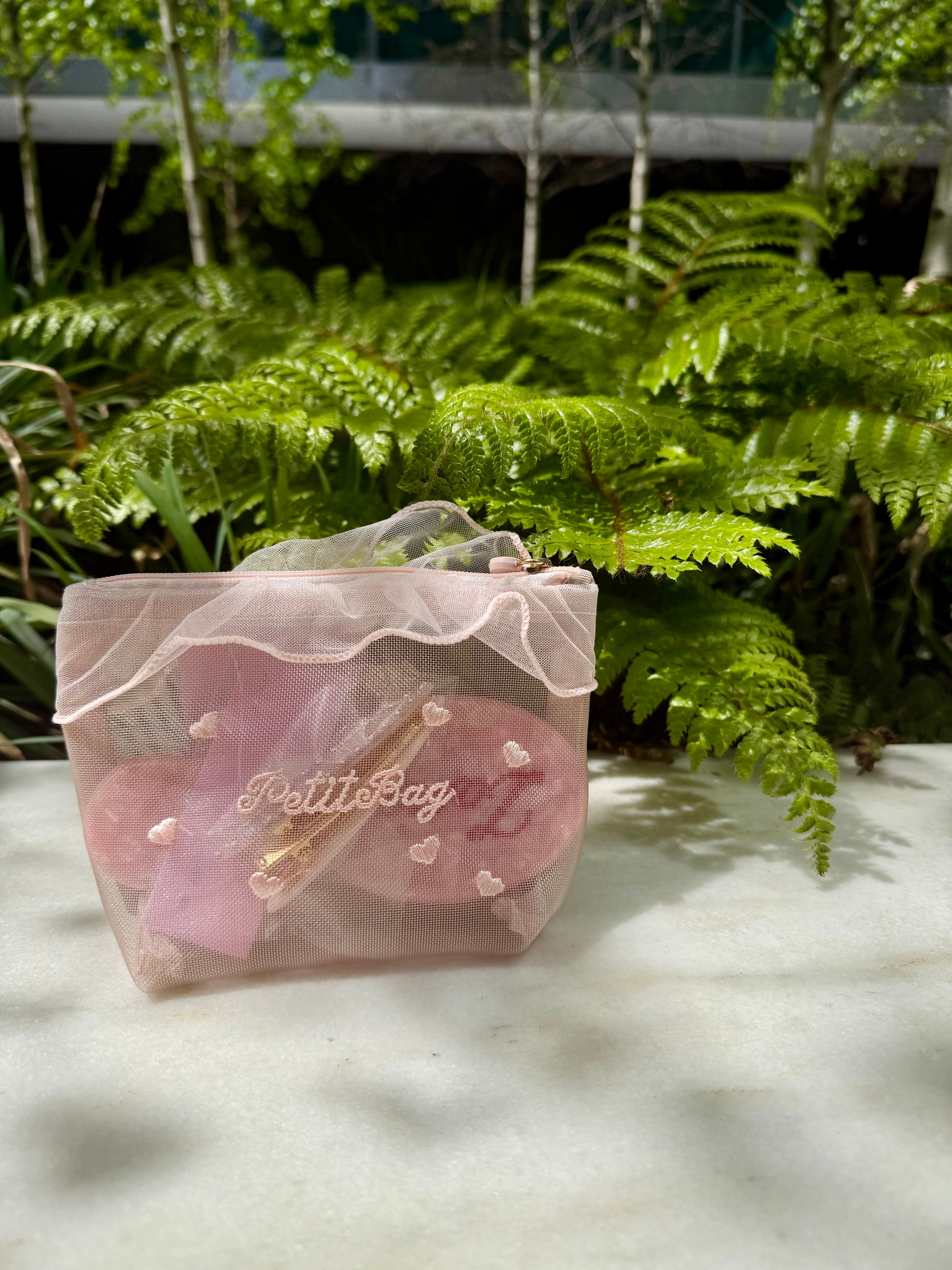 Mesh Vanity Pouch in Soft Organza Finish